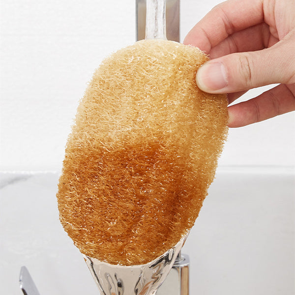 Natural Luffa Dishwashing Sponge