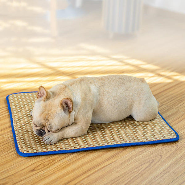 Summer Pet Cooling Mat Pad (30CM*40CM)