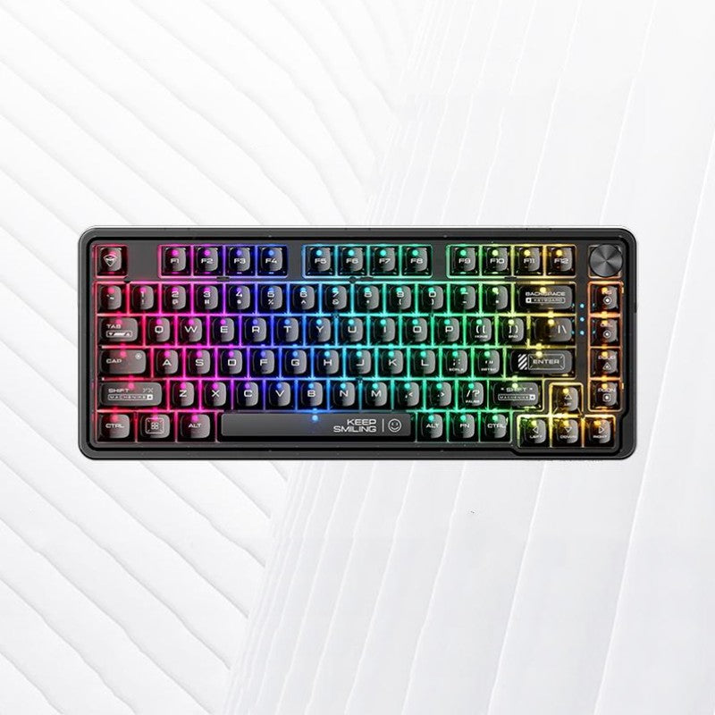 Wired Transparent Keycap Casket Mechanical Keyboard – GizModern