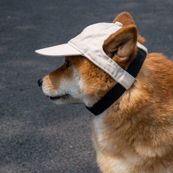 Adjustable Dog Sun Hat - Cute Ear-Out Summer Baseball Cap