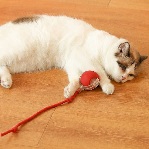 Durable Chew-Resistant Automatic Cat Teaser And Dog Toy Ball