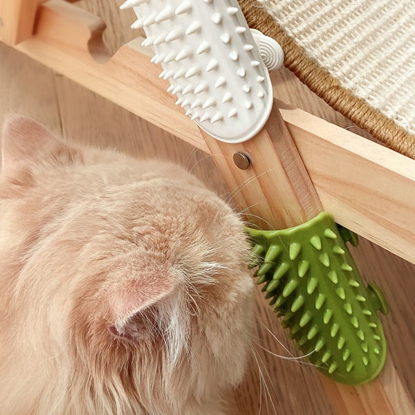 Pet Silicone Grooming And Scratching Tool