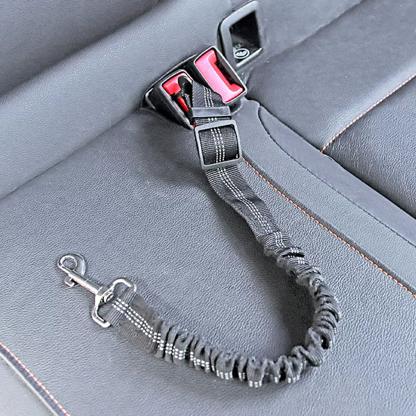 Drive Safe with Your Pup: Heavy-Duty Adjustable Car Seatbelt Leash for Dogs