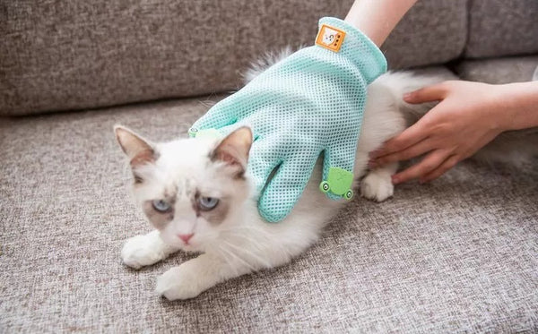 Magic Cat Grooming Glove – Deshedding Brush Pet Hair Remover for Cats