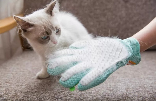 Magic Cat Grooming Glove – Deshedding Brush Pet Hair Remover for Cats