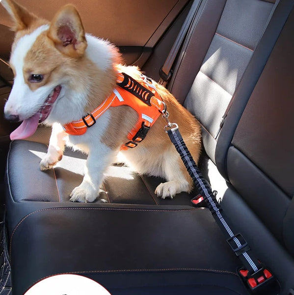 Drive Safe with Your Pup: Heavy-Duty Adjustable Car Seatbelt Leash for Dogs