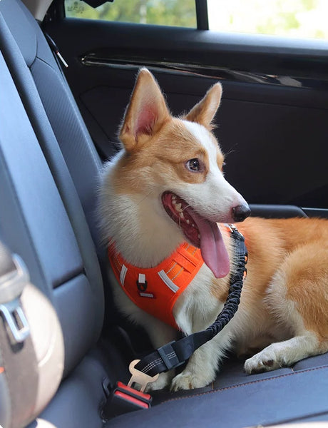 Drive Safe with Your Pup: Heavy-Duty Adjustable Car Seatbelt Leash for Dogs