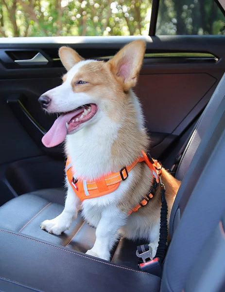 Drive Safe with Your Pup: Heavy-Duty Adjustable Car Seatbelt Leash for Dogs