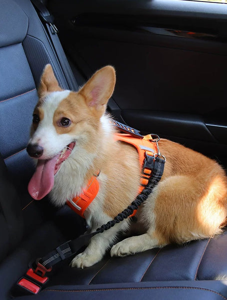 Drive Safe with Your Pup: Heavy-Duty Adjustable Car Seatbelt Leash for Dogs