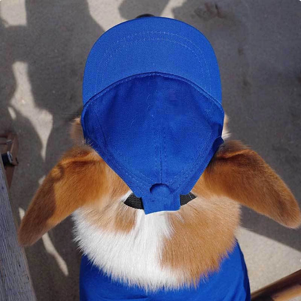 Adjustable Dog Sun Hat - Cute Ear-Out Summer Baseball Cap