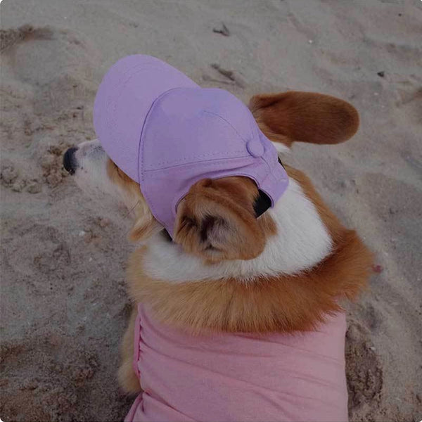 Adjustable Dog Sun Hat - Cute Ear-Out Summer Baseball Cap