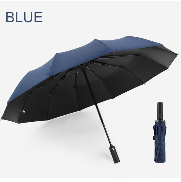 12-Rib Rain/UV Folding Umbrella, with Auto Open Close & Windproof Canopy, for Travel, Commute & More