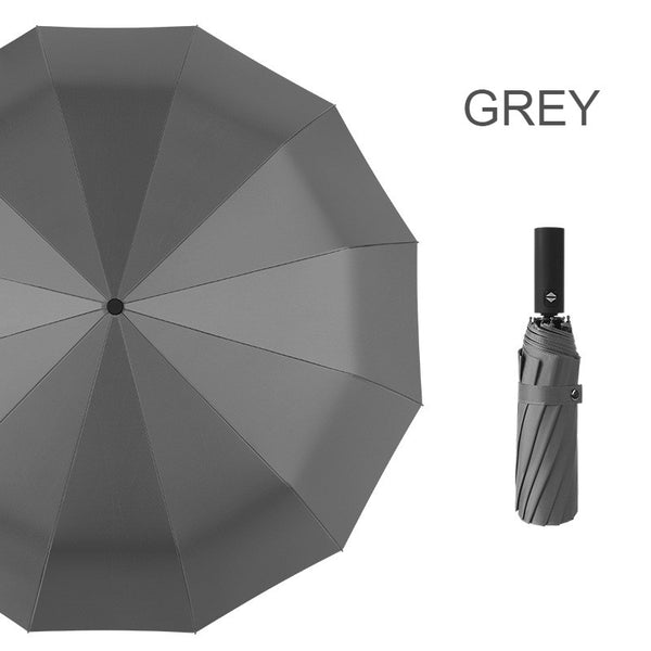 12-Rib Rain/UV Folding Umbrella, with Auto Open Close & Windproof Canopy, for Travel, Commute & More