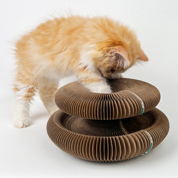 Portable Transformable Cat Scratcher with Multiple Shapes