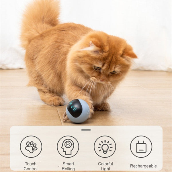 Rechargeable Interactive Cat Self-rotating Ball Toy, with Build-in LED Light