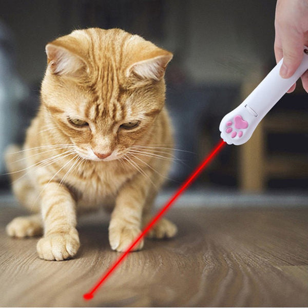 Interactive Pet Cat LED Projection Pen, with Different Patterns, for Cat, Dog & More