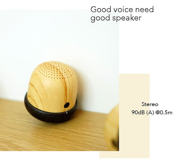 The World's Smallest Bluetooth Speaker With Built in Microphone