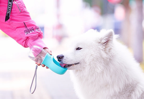 Portable Pet Water Bottle & Dispenser For Dogs And Cats, For Outdoor, Hiking & Walking