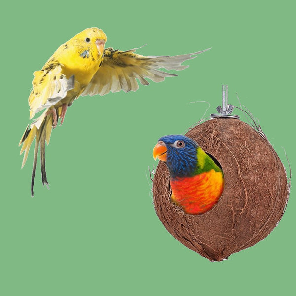 Coconut Shell Bird Nest with Wood Ladders, for Parrot, Budgies, Parakeet, Canary, Finch, Hamster, Rat