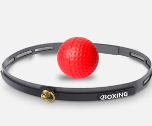 Boxing Reflex Ball Set, with 3 Difficulty Level Boxing Balls & Headban –  GizModern
