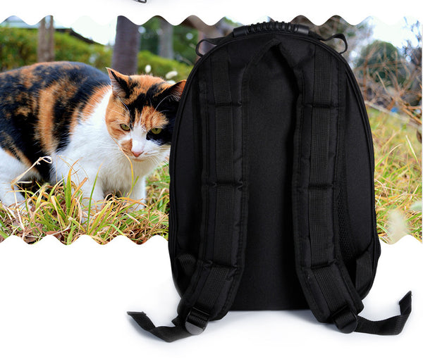 Give Your Baby A Window To The World - Not Your Regular Pet Carrier