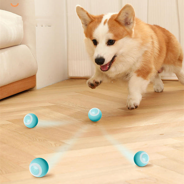 Intelligent Electric Bite-Resistant Dog Toy