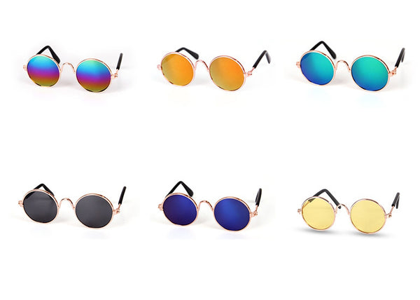 Kickstart Your Furriend's Style with Fashionable & Functional Sunglasses