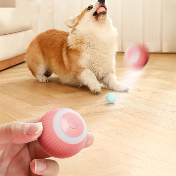 Intelligent Electric Bite-Resistant Dog Toy