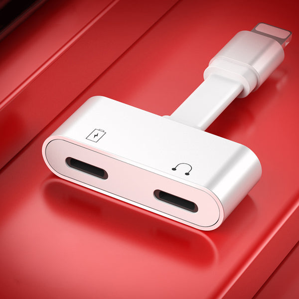 Dual-port Fast-charge Lightning Adapter - Life with One Port Is Not That Easy