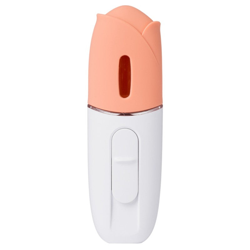 Portable Hand-held Mist Humidifier, with Fine Mist, USB Rechargeable a ...