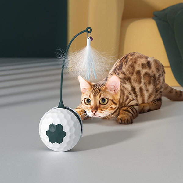 Automatic Funny Cat Toy