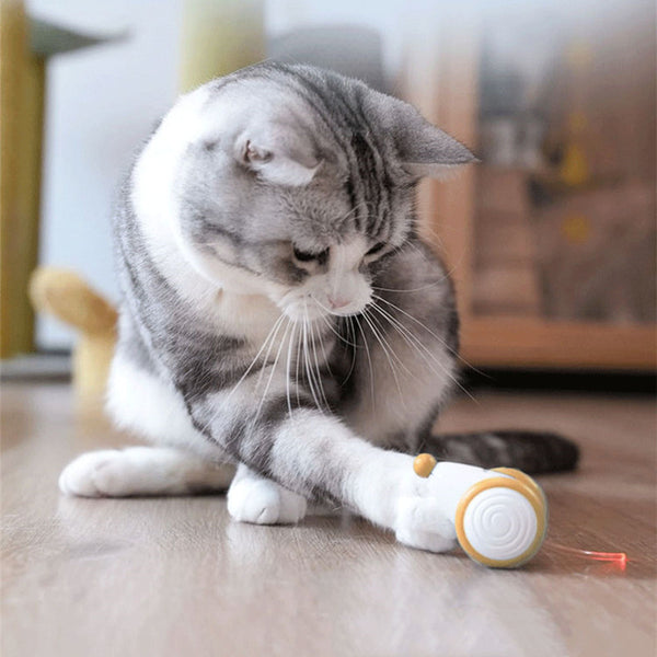 Electric Smart Cat Toy